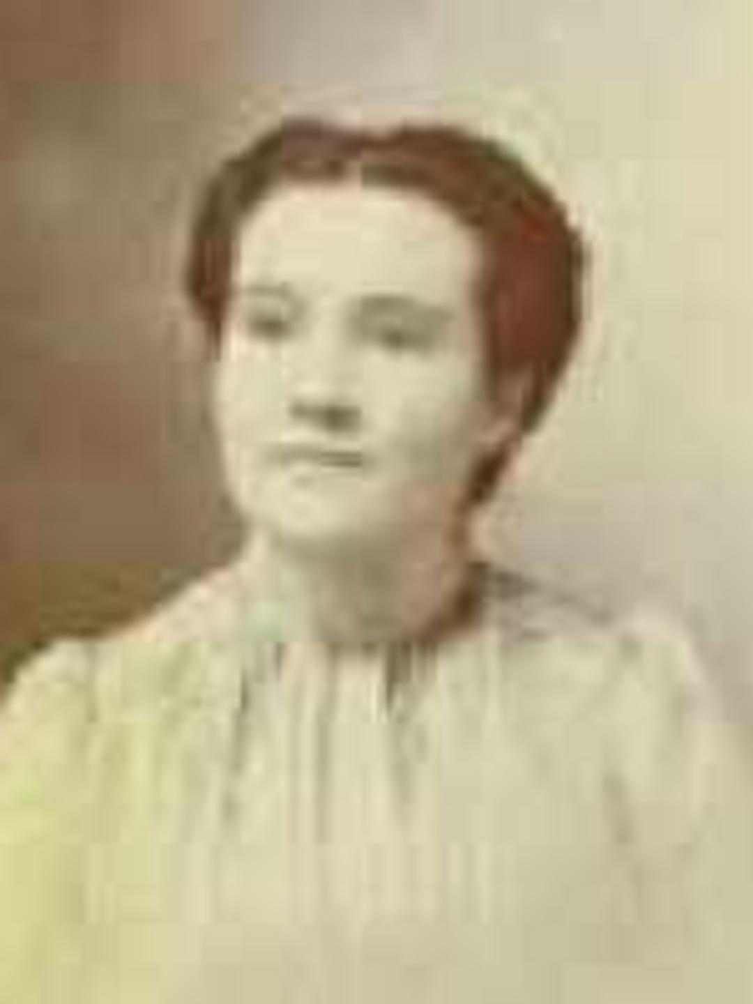 Mary Ann Elizabeth Stokes (1848 - 1930) Profile